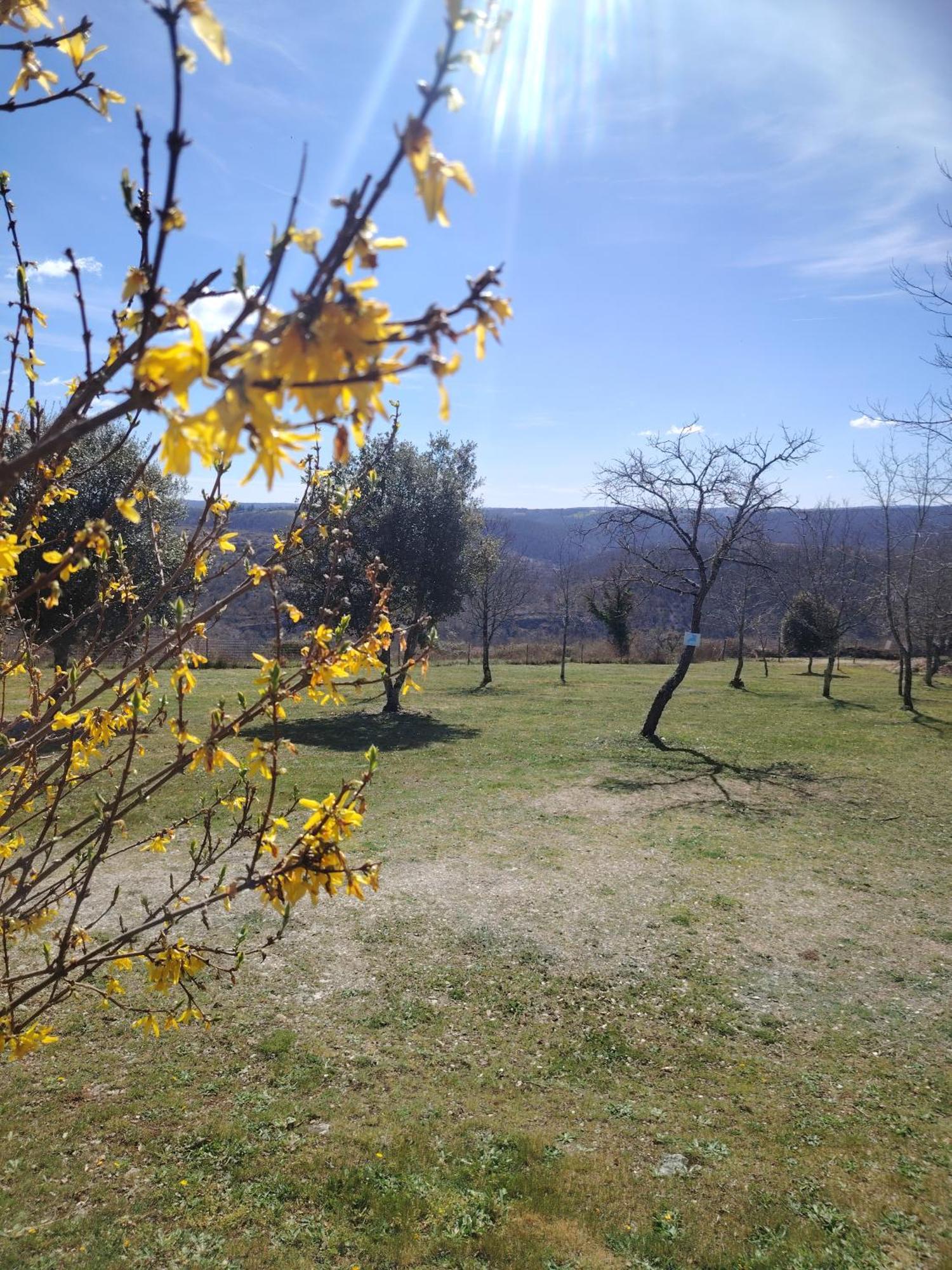 Gites Des Deux Vallees La Borieta Du Causse - Rocamadour Esterno foto