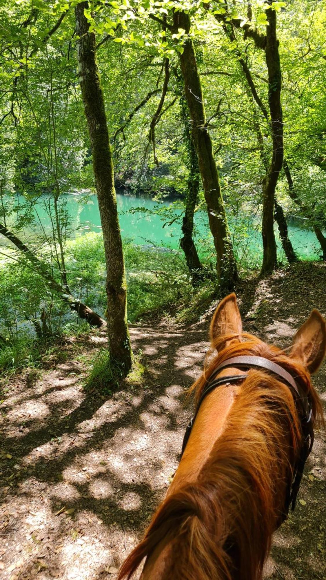 Gites Des Deux Vallees La Borieta Du Causse - Rocamadour Esterno foto